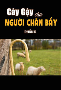 Cover of 33 - NỀN TẢNG CỦA HỘI THÁNH - PHẦN E1